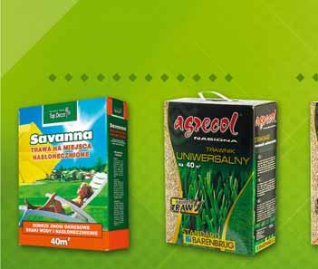 69 81954802 TRAWA CIEŃ 1 KG 97952055 MIESZANKA TRAWNIKOWA RENOVA 1 KG 97189005 TRAWA