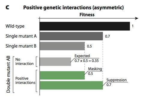 Ujęcie ilościowe interakcje pozytywne Dixon et al.