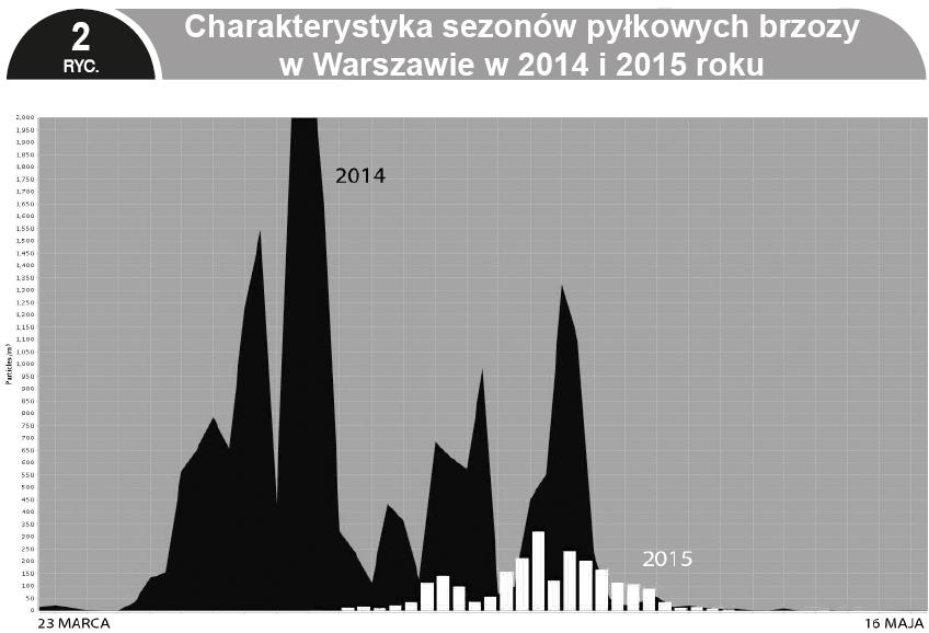 pylenie brzozy była wyjątkowo intensywne w szczególnie wyraźny sposób wskazuje na konieczność prowadzenia badań aerobiologicznych oraz udostępnianie prognoz chorym, a wyników numerycznych lekarzom