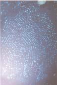 plastic, 10 metal, 12 glass) Ryc. 13, 15, 17.