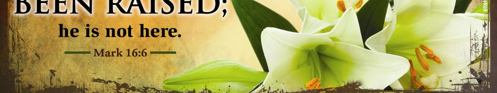 Diocese of Orange * 3999 Rose Drive, Yorba Linda, CA 92886