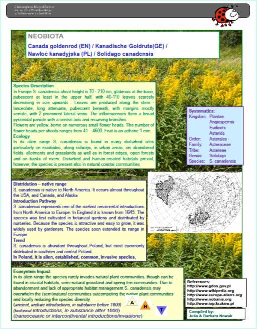pl/ias/gatunki http://www.nobanis.org/files/factsheets http://www.europe-aliens.