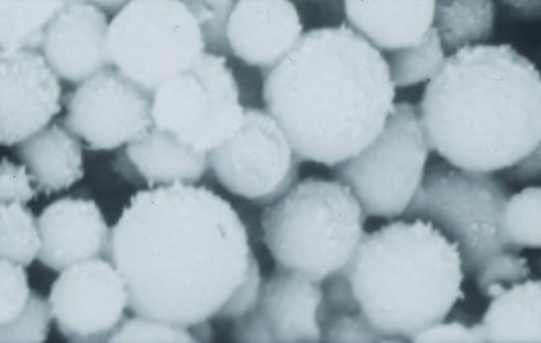 organizmu na drodze inhalacji [39, 40]. Z poli(estro-bezwodników), w których udzia³ SBA lub DDC wynosi³ 80 % wytworzono tak e mikrosfery polimerowe z grupami epoksydowymi na powierzchni (schemat C).