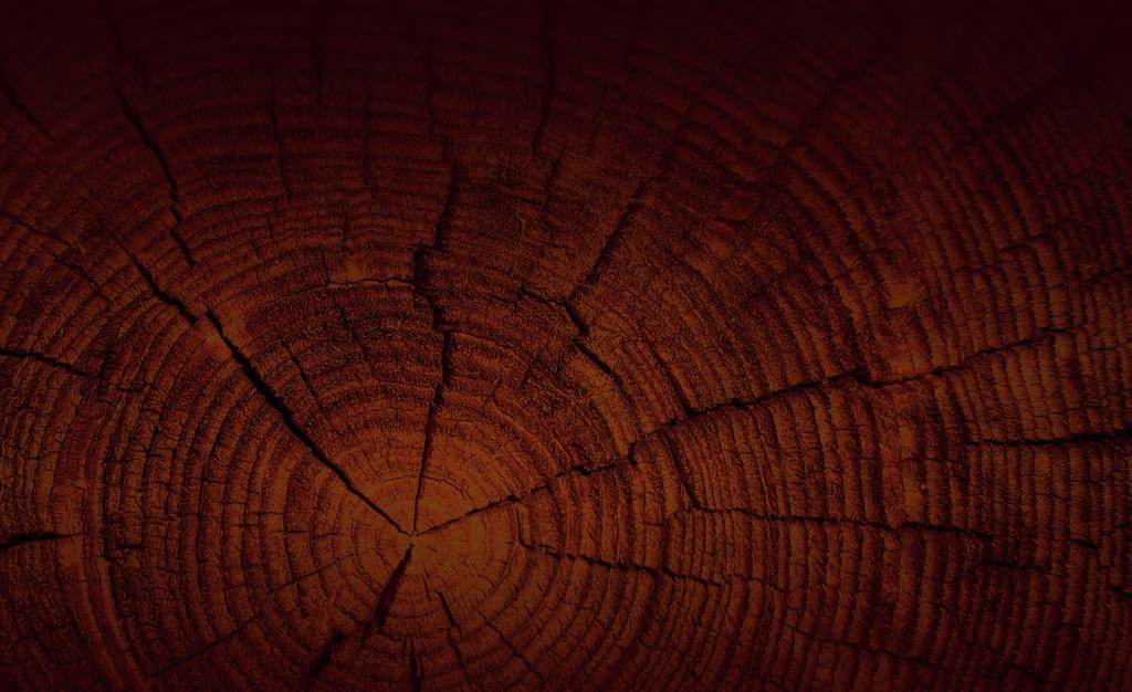 Zastosowane technologie Silnik 4-suwowy Przyjazna dla środowiska technologia silników 4-suwowych - tym razem wybiega naprzód - emisja spalin naszych silników 4-suwowych jest znacznie niższa od