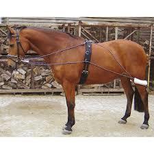 1.3. Trening koni Umiejętność 2) dobiera miejsca treningu z uwzględnieniem jego rodzaju oraz warunków środowiskowych, na przykład: dobiera miejsce treningu dla młodych koni; dobiera miejsce do