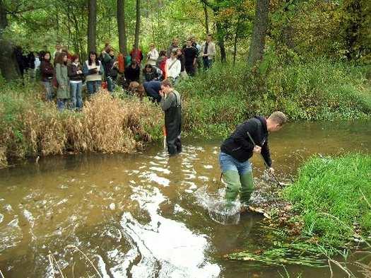 OCHRONA ŚRODOWISKA I ADAPTACJA DO ZMIAN KLIMATU cd D z i a ł a n i a Z m i a n y p r z e p i s ó w przegląd regulacji prawnych dot.