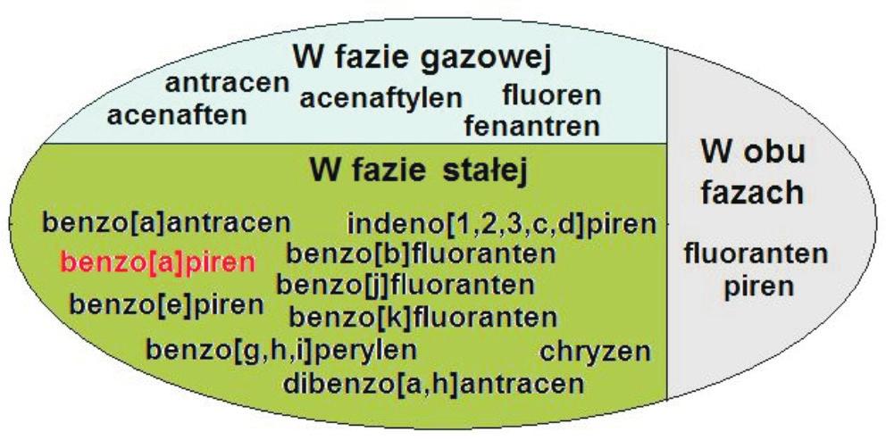 NAFTA-GAZ grudzień 2010 ROK LXVI Xymena Mazur-Badura, Wojciech Krasodomski Instytut Nafty i Gazu, Kraków Analiza profili wwa w cząstkach stałych (pm) emitowanych przy zastosowaniu paliw z