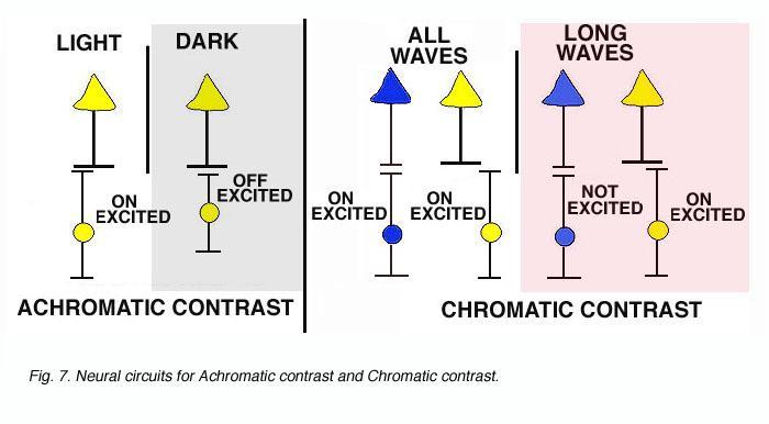 Kontrast