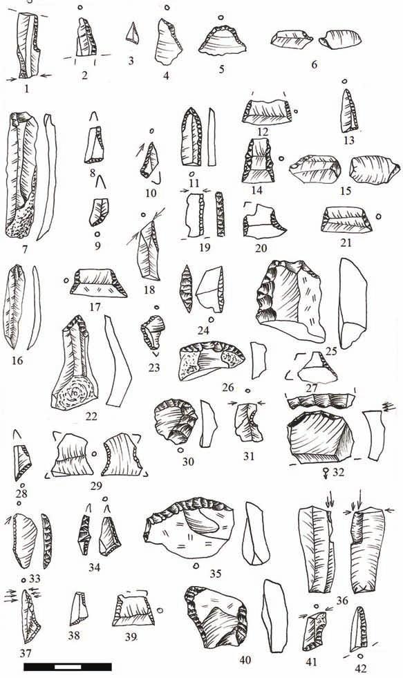 [204] Ryc. 9. Fig. 9. Mszano, gm. Brodnica, woj. kujawsko-pomorskie, stanowisko 14. Próba III. Półsurowiec, narzędzia i zbrojniki w układzie zbliżonym do zalegania w warstwach z ceramiką (rys. F. Marciniak) Mszano, Brodnica district, Kujawsko-Pomorskie Voivodeship, site 14.