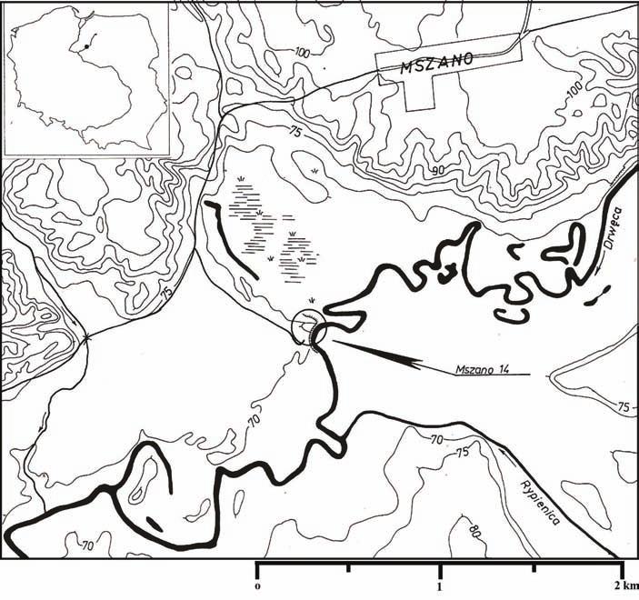 188 Filip Marciniak Ryc. 1. Fig. 1. Mszano, gm. Brodnica, woj. kujawsko-pomorskie, stanowisko 14.