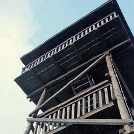 Stworzenie