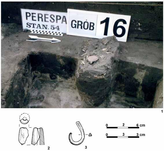 Fig. 6. Perespa, dist. Tomaszów Lubelski, site 54, grave 16: view at the time of exploration 1 (photo by M.