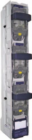 Vertical design fuse switches and vertical design disconnectors TRIVER + Rozłączniki bezpiecznikowe listwowe i rozłączniki izolacyjne listwowe TRIVER + Range / Zakres produktów 438 Type 438 fuse