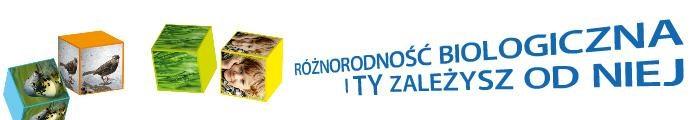 4. Ochrona różnorodności biologicznej to: definicje uczestników: definicje prelegenta: systemowe działania podejmowane na rzecz trwałego zachowania wszystkich elementów różnorodności