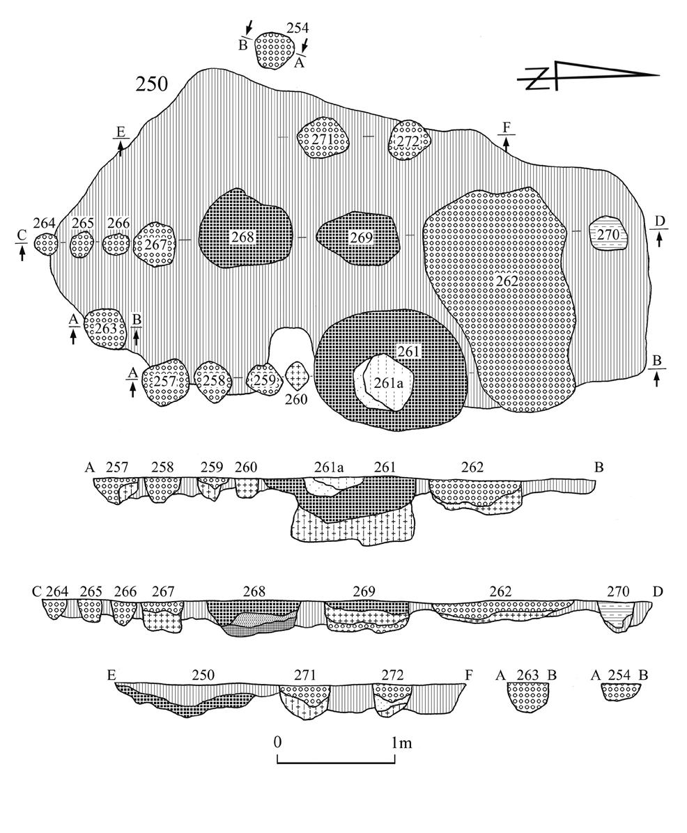 Ryc. 3. Legarda, stan. 1, gm. Gostynin, woj. mazowieckie. Obiekty ludności kultury łużyckiej Fig. 3. Legarda, site 1, Gostynin commune, mazowieckie voivodeship.