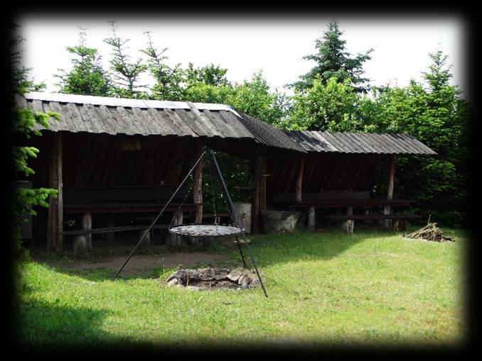 Bierzwnik