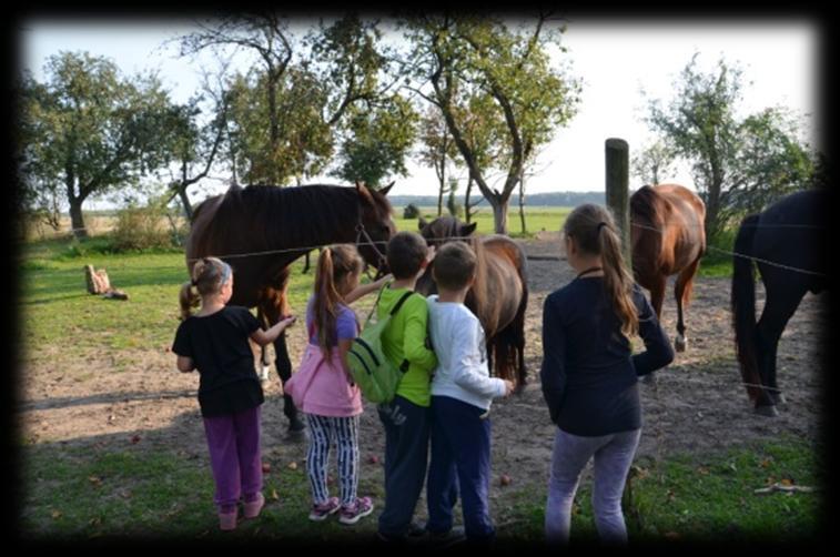 spożywczych, rękodzielniczych, zwiedzanie okolicy z przewodnikiem, wspólne