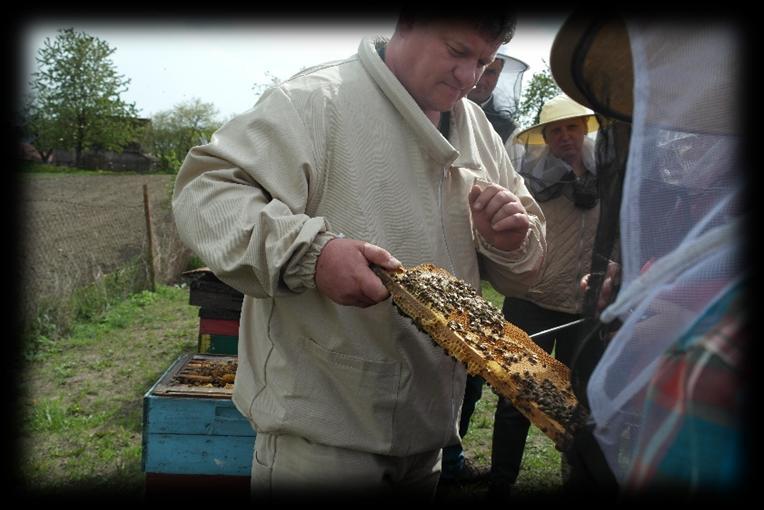 miejscowości Kluczewo, gm.