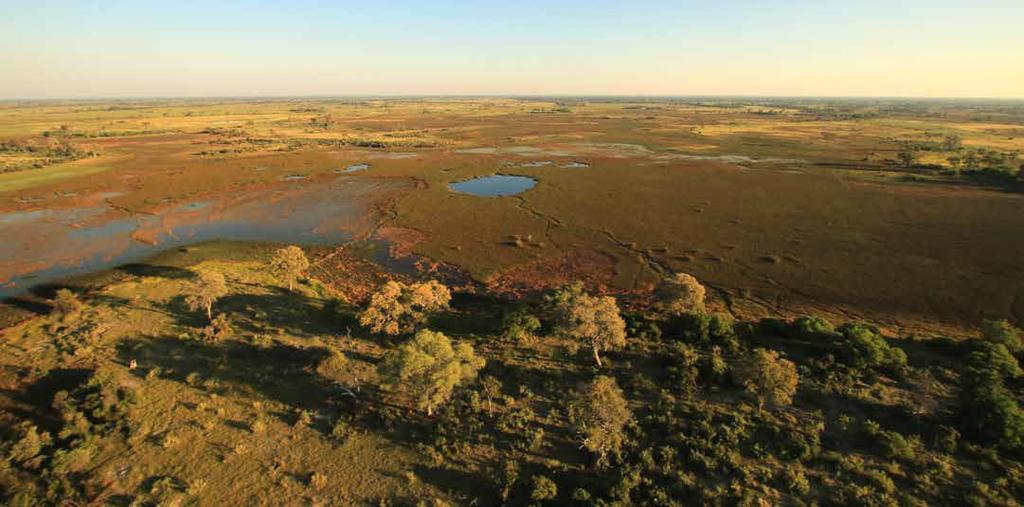 14 DALEKIE PODRÓŻE 15 Na brzegach rzeki Okawango ujrzymy tropikalny las galeriowy Śródlądowa delta rzeki Okawango jest jedną z największych na świecie nie da się jednak dotrzeć wszędzie, więc