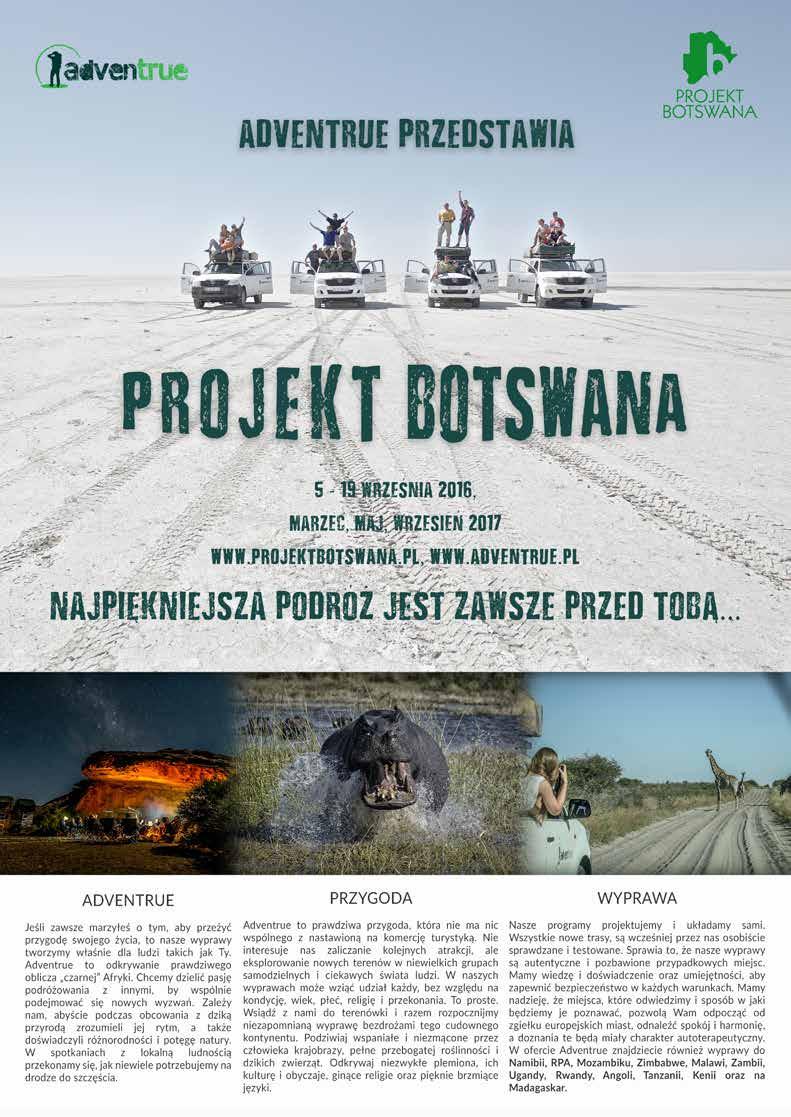 I wreszcie po czwarte, uwielbiam ptaki i ich fotografowanie stało się jedną z moich pasji.