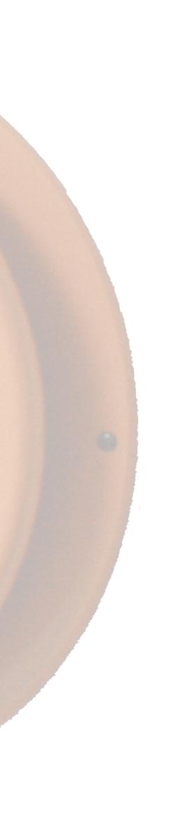 PP00441 - Orange PP00080 -