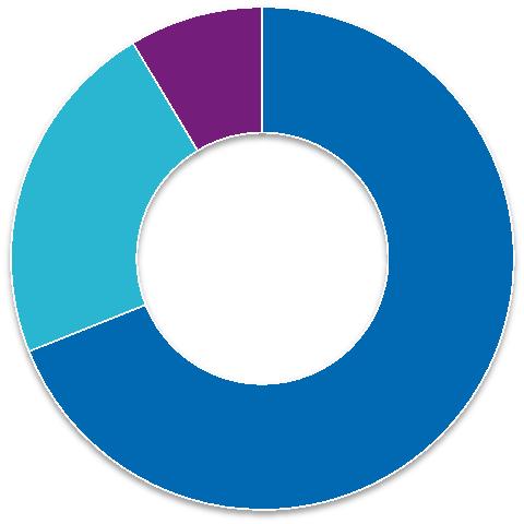 zarządania Hotele zarządzane: Węgry: 1 Pozostałe: 9 w tym Rumunia: 6 10 Hotele własne i leasingowane: Polska: 53 Węgry: 16