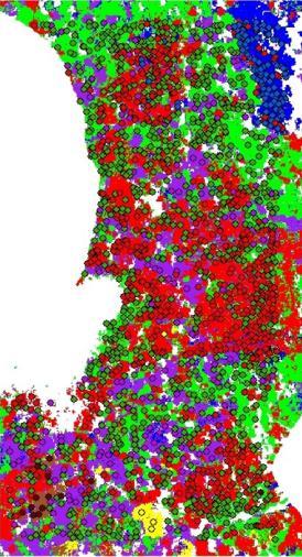 ponieważ trudno jest znaleźć piksel, który nie jest mikselem koron modrzewia i innego gatunku drzew.