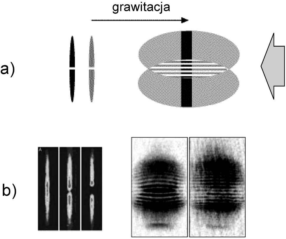 tody te zawdzięczamy głównie laureatom Nagrody Nobla w 1997 r., tak więc obserwacja kondensacji BE związana jest z dwiema, jak dotąd, Nagrodami Nobla dla 6 fizyków. 4. Doświadczenia z kondensatami 4.