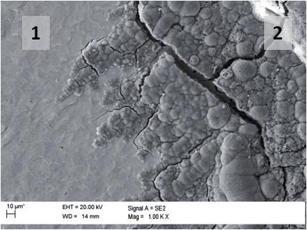 These numerous discontinuities of both cement paste being in contact with iron corrosion products, as well as the rust itself, allow the free access of the substrates of electrode reactions to the