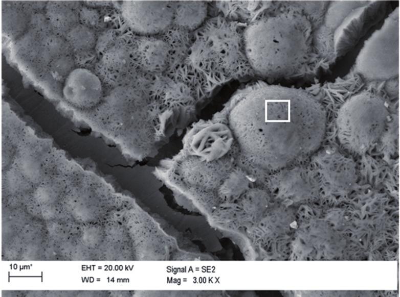On the basis of these observations can be ruled out, so far widely accepted idea concerning the sealing effect of corrosion products and their impact on the inhibition of bars corrosion rate with