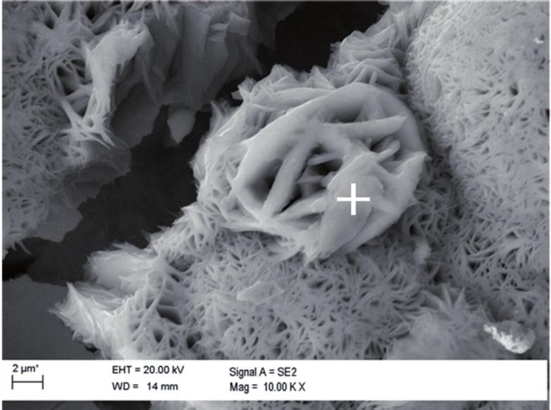 a) b) Rys. 8. Kryształy FeCl 2 4H 2 O tworzące rozetę z rys. 7: a) morfologia, b) mikroanaliza rentgenowska Fig. 8. Rosette of FeCl 2 4H 2 O crystals from Fig.