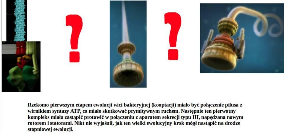 https://bioslawek.files.wordpress.