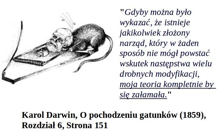 odkrywa się funkcje fotosyntezy. Odkrycie sposobu działania fotosyntezy nie jest tożsame z ustaleniem jej pochodzenia.