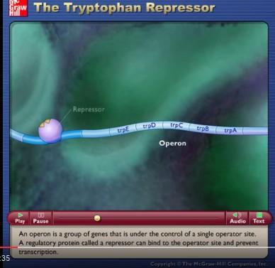 https://www.youtube.com/watch?v=zysrjyxqsfa MICHAEL BEHE "WYEWOLUOWANY OPERON"? http://doczz.