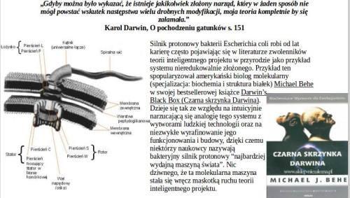 https://bioslawek.wordpress.com/2012/01/14/dogmatyczny-darwinizm/ [..] Książka Darwin s Black Box została szeroko zrecenzowana.