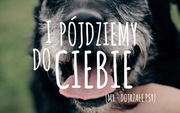 W ramach kampanii przygotowano spot utrzymany w konwencji matrymonialnych ogłoszeń, który zachęcał do adopcji starszych psów ze schroniska. Emitowany był na ekranach we wrocławskim MPK.