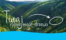 WYRÓŻNIENIE: KAMPANIE FIRM I FUNDACJI FIRM PO STRONIE NATURY Poprzez ideę Posadź swoje drzewo!