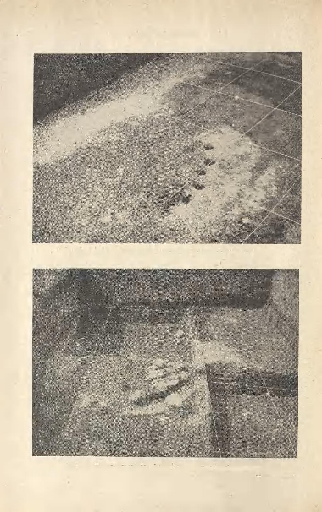 172 IWONA DĄBROWSKA Ryc. 3.