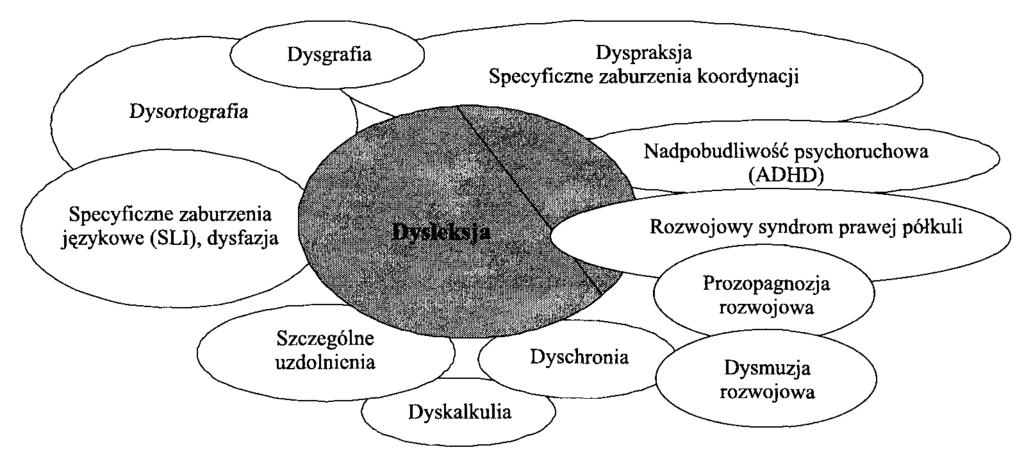 Problemy te nie są związane z poziomem inteligencji osoby dyslektycznej.