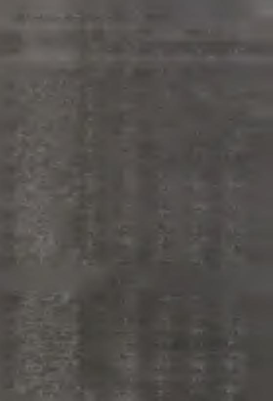 Wskaźnk cea;:wy branych towarów usłurj ( dok.) -------------------------------------------- Wyszczególnene X 99 r. Jed. Przecętna --------- --------- ma- cena w złot. V X X ry X 93 r.