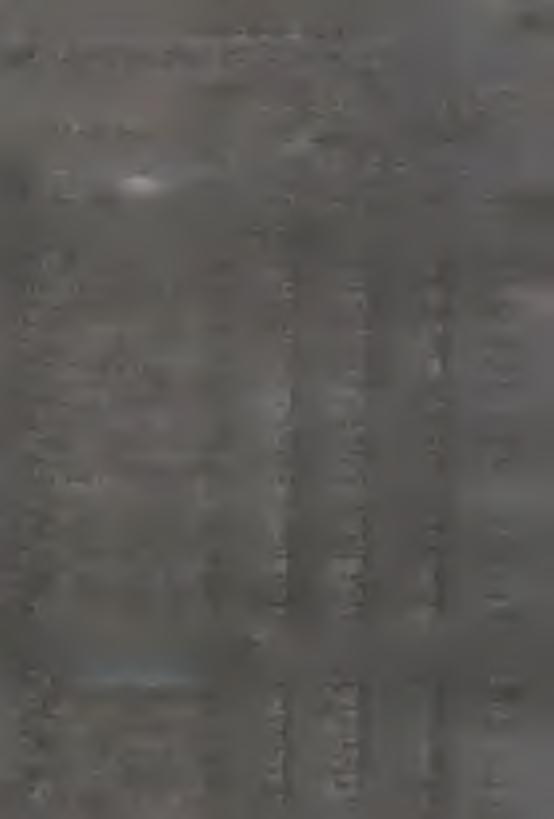 Meszkana oddane do użytku w se k to r/e prywatnym w 992 r. M eszkana P o w e rzchna użytko - Meszkan?