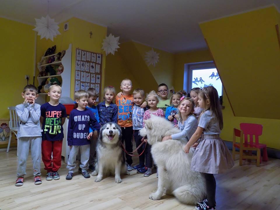 W miesiącu grudniu, przedszkolaków odwiedzili specjalni goście- psy wraz ze swoimi opiekunkami.
