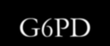 POLIMORFIZM G6PD Polimorfizm w obrębie genów kodujących G6PD może doprowadzić do zahamowania syntezy enzymu.