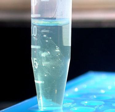 Uwolnienie DNA - DNA chroniony jest w komórce w różnych błonowych strukturach subkomórkowych, takich jak np.: jądro, mitochondria.