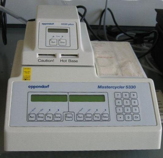 REAKCJA PCR ETAPY CYKLU PCR 1.