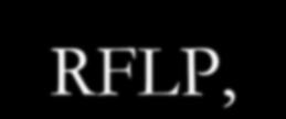 ANALIZA RLFP RFLP (ang. Restriction Fragments Length Polymorphism polimorfizm długości fragmentów restrykcyjnych).