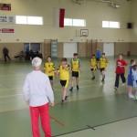 projektu: Festiwal Piłki Ręcznej PGNiG Dzieciom. Organizatorami turnieju są Związek Piłki Ręcznej w Polsce oraz Ministerstwo Sportu i Turystyki.