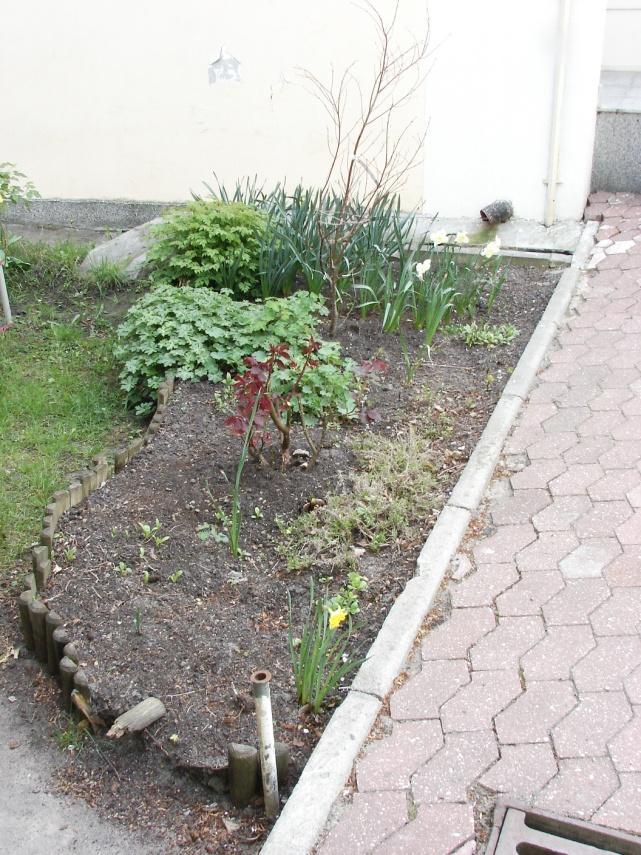 2.4. Roślinność istniejąca Na podstawie przeprowadzonej inwentaryzacji terenu pod projektowaną rabatę przy Zespole