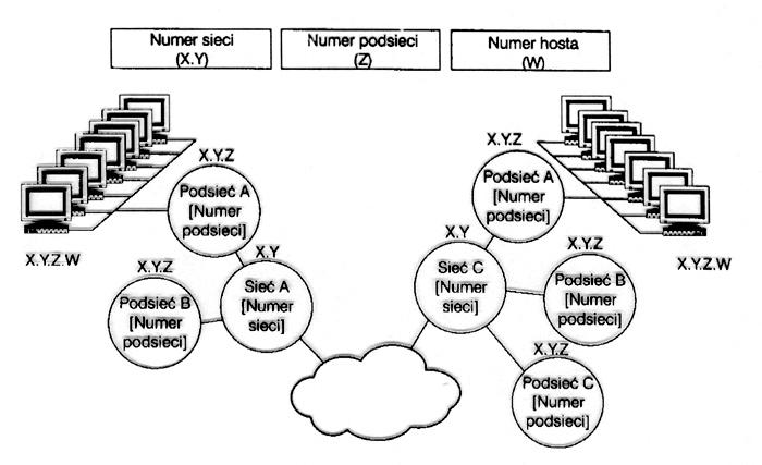 7.2. Adres IP Adres IP, adres protokołu IP. Cztery bajty określające komputer w Internecie. Każdy podłączony do sieci komputer musi mieć unikalny i niezmienny adres IP.