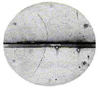 Krótka historia 1931 Chadwick odkrycie neutronu 1932 Anderson odkrycie pozytonu antymaterii ślad w promieniowaniu kosmicznym 1934 Yukawa zaproponował istnienie bozonu
